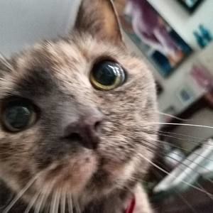 Meet your Posher, Annabelia